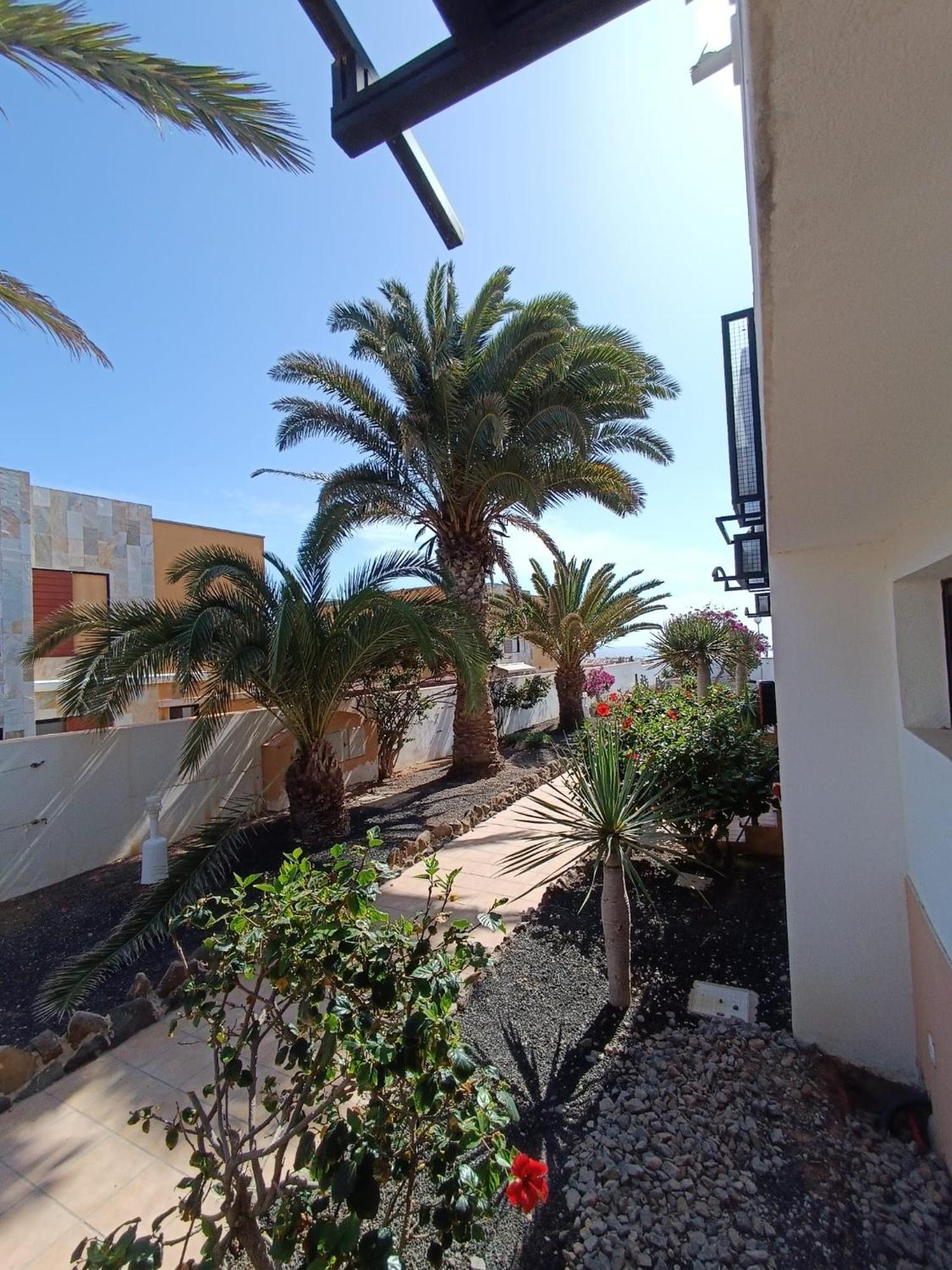 Apartamento Reload Complex Amaya Fuerteventura Costa De Antigua Zewnętrze zdjęcie